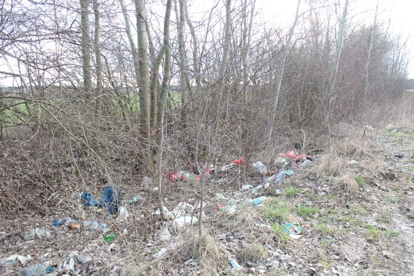Chełm. Dzikie wysypisko śmieci w okolicy Olenówki (gm....