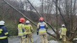 Silny wiatr w Małopolsce. Strażacy mają pełne ręce roboty! 