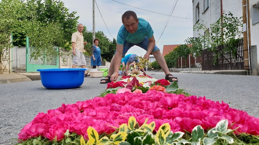 Mieszkańcy Klucza, Olszowej, Zimnej Wódki, Zalesia Śląskiego ułożyli kwiatowe dywany z okazji Bożego Ciała