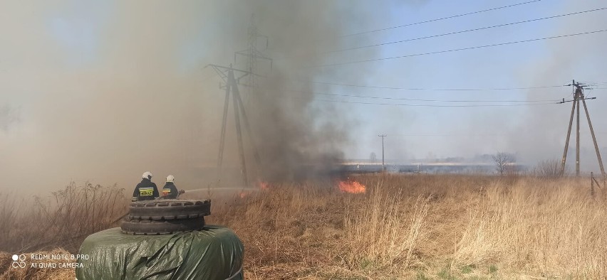 Strażacy mają wiele pracy w całym powiecie głogowskim i...