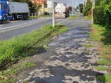 Chodnik na ul. Krzywoustego w Oleśnicy do wymiany 