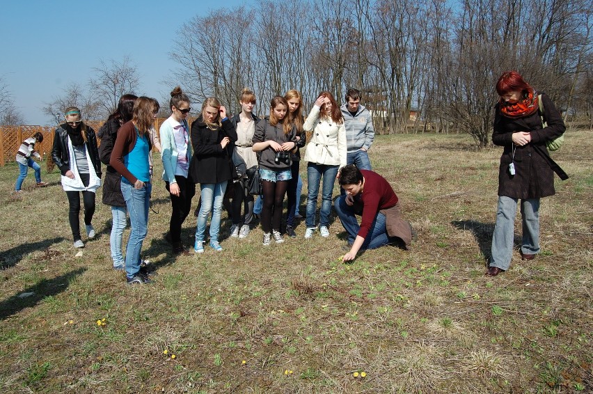 Młodzież z Zespołu Szkół z Gliwic uczestniczyła w warsztatach w Śląskim Ogrodzie Botanicznym
