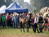 Sadów: VI Polowa Próba Zaprzęgowa Klaczy Śląskich [ZDJĘCIA]