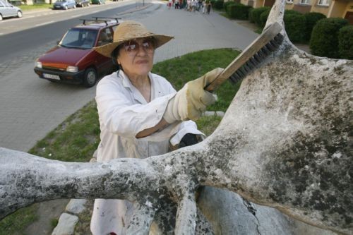 Maria Bor dba o rzeźby w mieście, nie tylko te swojego autorstwa.