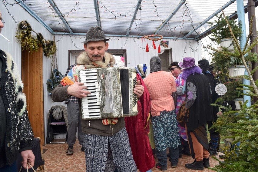 Podkoziołek w Mylinie. Odwiedzili nowożeńców i jubilatów