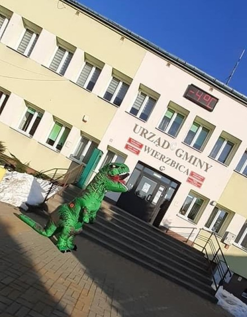 Wielki dinozaur pojawił się w Wierzbicy i zajrzał na  karnawałowy bal. Zobacz zdjęcia