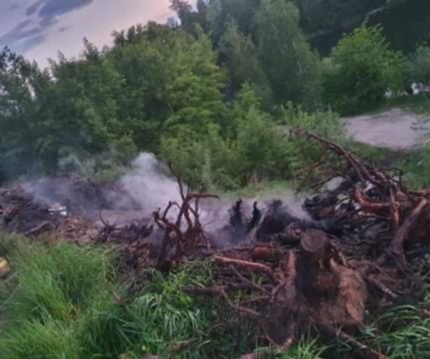 Do pożaru doszło w środę około godziny 20. W akcji gaśniczej...