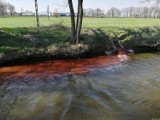 Gmina Granowo: Rzeka Mogilnica zanieczyszczona! Mamy szczegółowe ustalenia. 