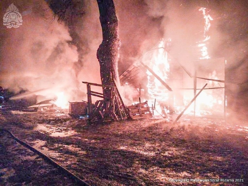 Kolejny pożar w Rudzie pod Skierniewicami. W akcji uczestniczyło aż 8 jednostek straży