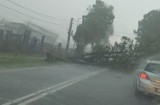 Skutki sobotniej burzy na drogach powiatu wadowickiego i oświęcimskiego [ZDJĘCIA]  AKTUALIZACJA