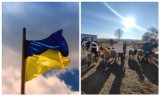 Oborniki pomagają Ukrainie. Wsparcia uchodźcom udzielają oborniccy przedsiębiorcy 