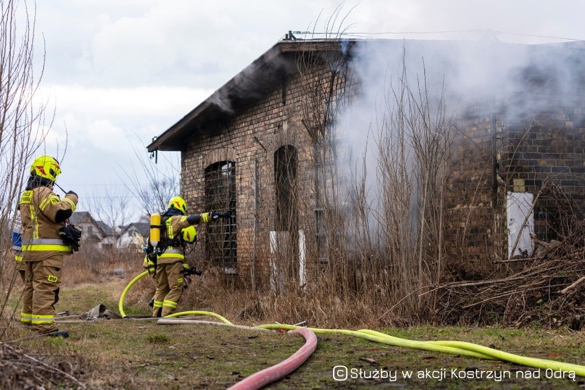 Do poważnego pożaru doszło w sobotę, 5 lutego, na terenach...