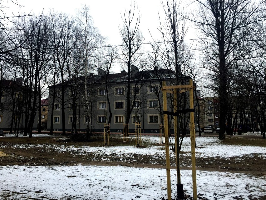 22 budynki na osiedlu Juliusz w Sosnowcu przeszły metamorfozę cieplną i wizualną