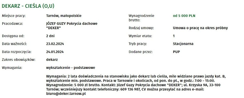Najatrakcyjniejsze oferty pracy dostępne w Powiatowym Urzędzie Pracy w Tarnowie. Niektóre oferowane zarobki przekraczają 10 tys. złotych!