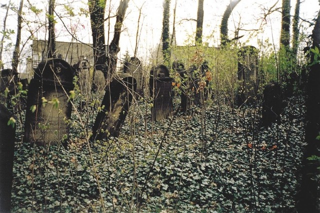 Cmentarz żydowski w Mikołowie