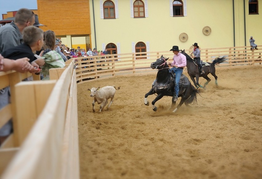 Żory western: Pokazy rodeo - Wild West Show. Zobacz zdjęcia!