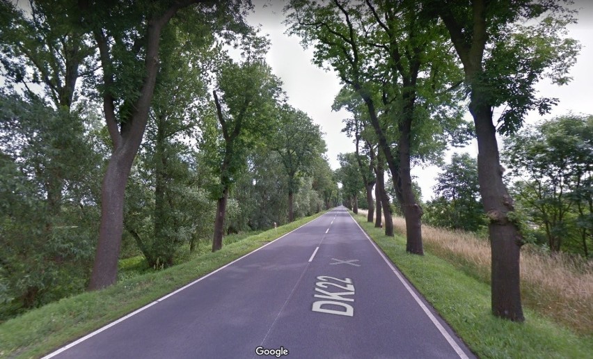 GDDKiA planuje wyciąć 580 drzew przy drodze krajowej nr 22....