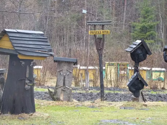 Skansen pszczelarski w Wygodzie. "Kusego" tam nie zastaliśmy