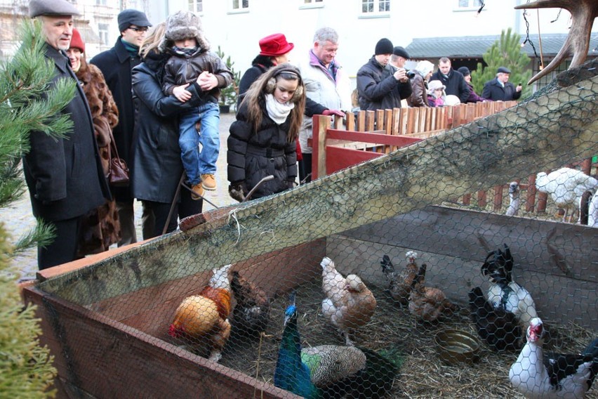 Piotrków: Żywa szopka u Bernardynów (zdjęcia)