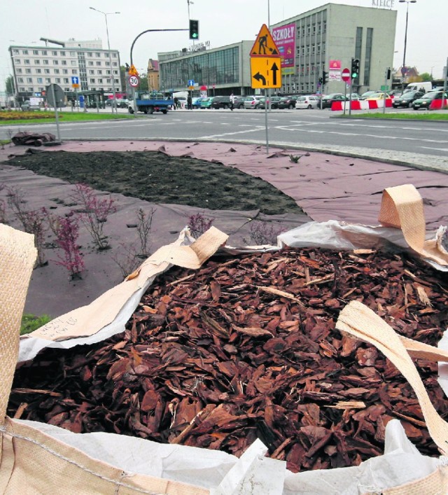 Przy ulicy Żelaznej i Czarnowskiej pojawiły się tajemnicze worki. Kryje się w nich kora, potrzebna przy sadzeniu krzewów i drzew.