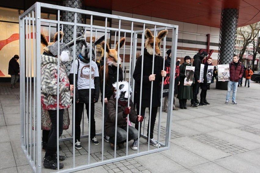 Obrońcy zwierząt protestowali przed Kaskadą
