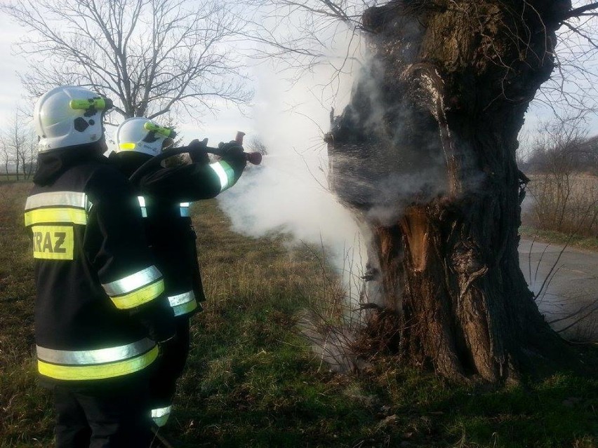 Michorzewo: Pożar od petardy