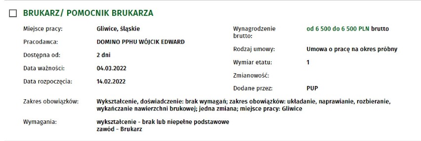 Najlepiej płatne oferty pracy w Gliwicach. Gdzie zarobić najwięcej? Można liczyć nawet na 7 tysięcy brutto