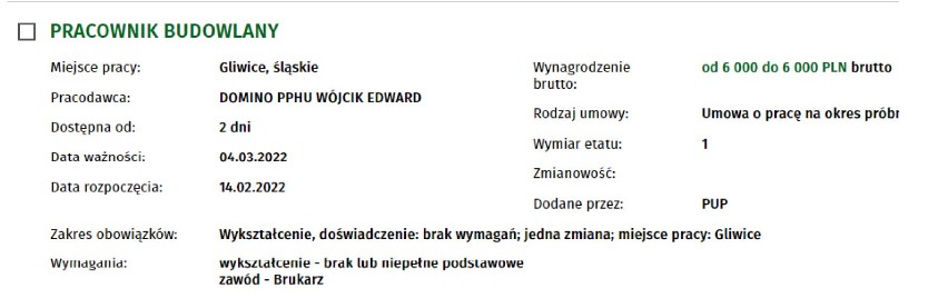 Najlepiej płatne oferty pracy w Gliwicach. Gdzie zarobić najwięcej? Można liczyć nawet na 7 tysięcy brutto