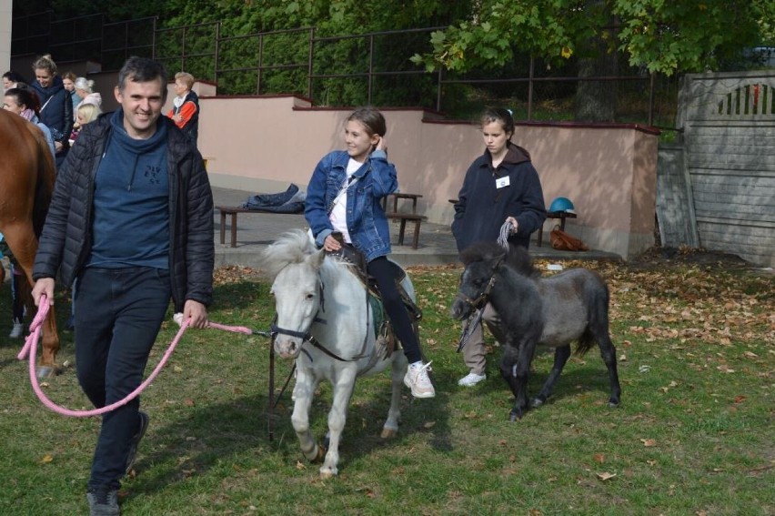 Radomice. Tak bawili się mieszkańcy i uczniowie podczas festynu dla Julki z Maliszewa [zdjęcia]