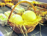 Wielkanocne jaja bez tajemnic na Uniwersytecie Śląskim