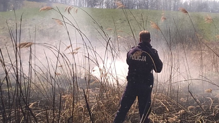 Pożar łąki w miejscowości Ramsówko