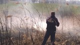 Pożar łąki w miejscowości Ramsówko. Ogień gasili policjanci i straż leśna 
