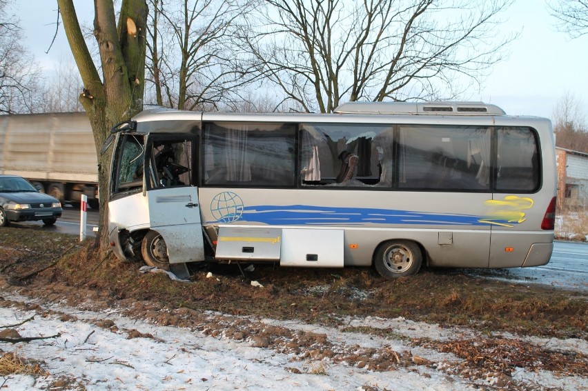 Strzeszkowice Duże: Bus uderzył w drzewo. 5 osób w szpitalu