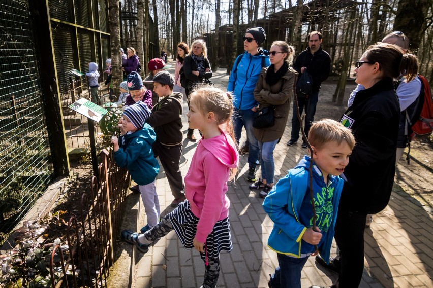 Do wtorku 15 maja w myślęcińskim zoo czynna jest wystawa pn....