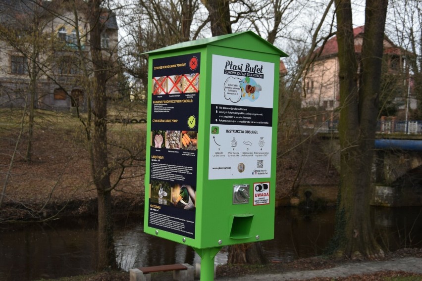 W Szprotawie można karmić ptaki zdrowym ziarnem z automatu