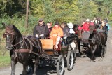 Święto koni i koniarzy obchodzono dziś w gospodarstwie agroturystycznym Mustang w Starym Widzimiu.