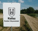 Budżet Obywatelski w Kaliszu. Takie projekty zgłosili kaliszanie 