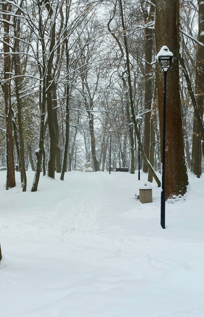 Zima w Busku-Zdroju. Tak wyglądają oklice Parku Zdrojowego.