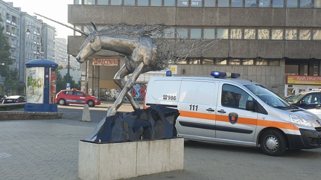 Na tyłach pomnikiem jednorożca o poranku często można zobaczyć parkujący samochód straży miejskiej