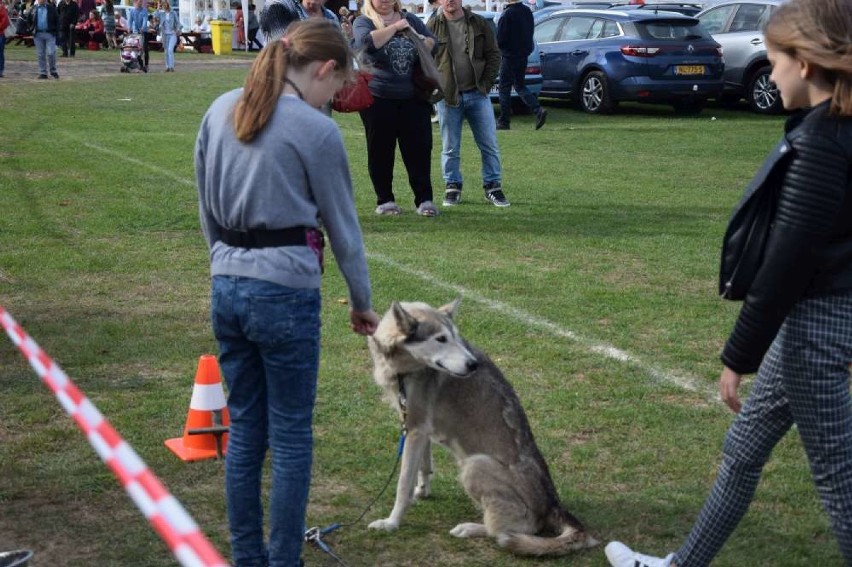 Trwają Targi Michałowskie w Mieścisku [ZDJĘCIA]