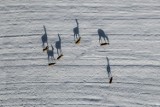 Cuda natury uchwycone z drona. Zobaczcie te piękne zdjęcia z Doliny Baryczy!