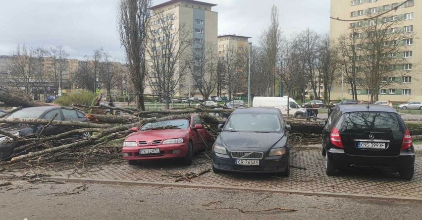 "Osiedle Kazimierzowskie - silny wiatr powalił drzewo na...