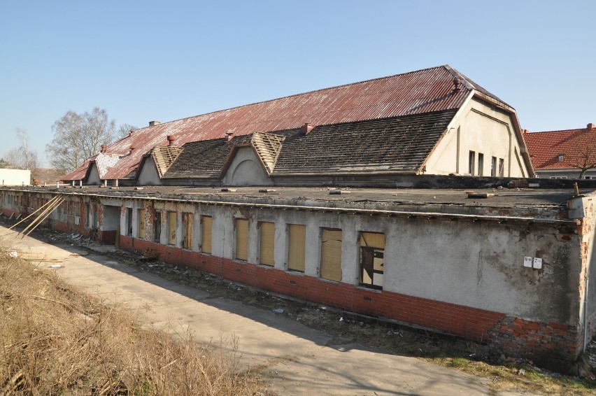 Rozbiórka hali przy Myśliwskiej, rok 2015