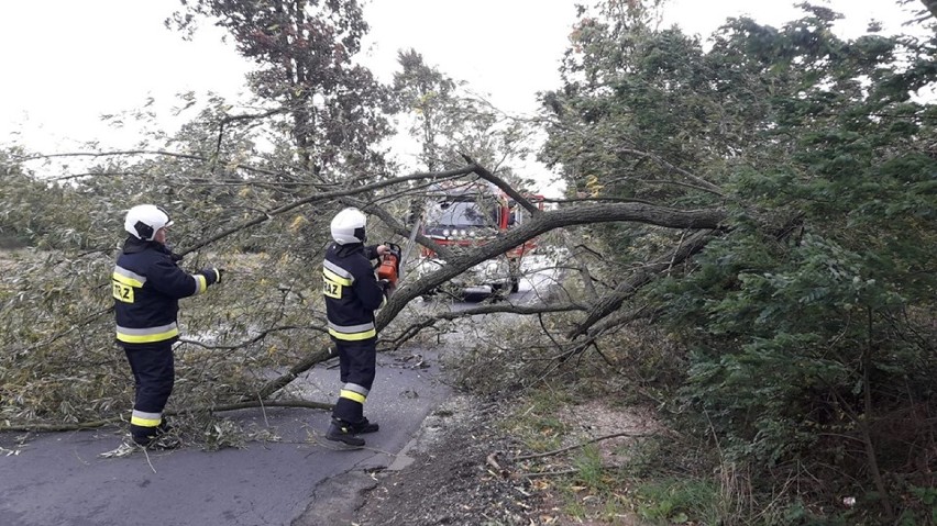 Uwaga na silny wiatr. Strażacy interweniują w powiatach wieluńskim i wieruszowskim[FOTO]
