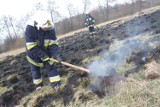 Pożar nasypu kolejowego w okolicach Pogorzelic. Płonie trawa. Ruch pociągów wstrzymany