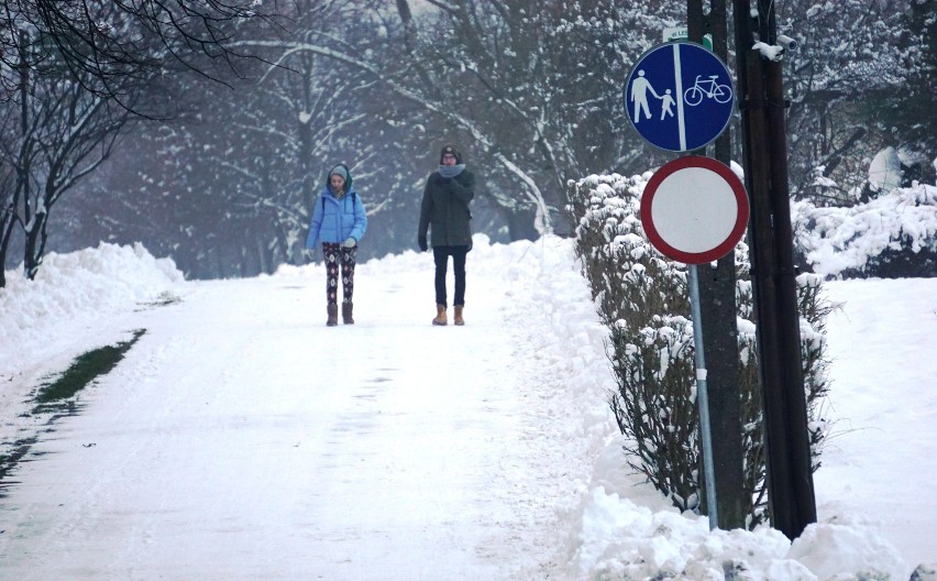 Przepiękna odsłona zimy w Bydgoszczy. Myślęcinek tętni życiem [zdjęcia, wideo] 