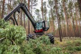 Maszyny w akcji! Rozpoczęły się targi w Mostkach, niedaleko Świebodzina. Sprawdź program