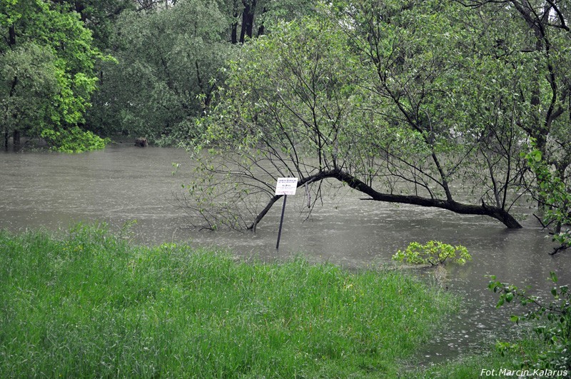 Zabrzeg pod wodą