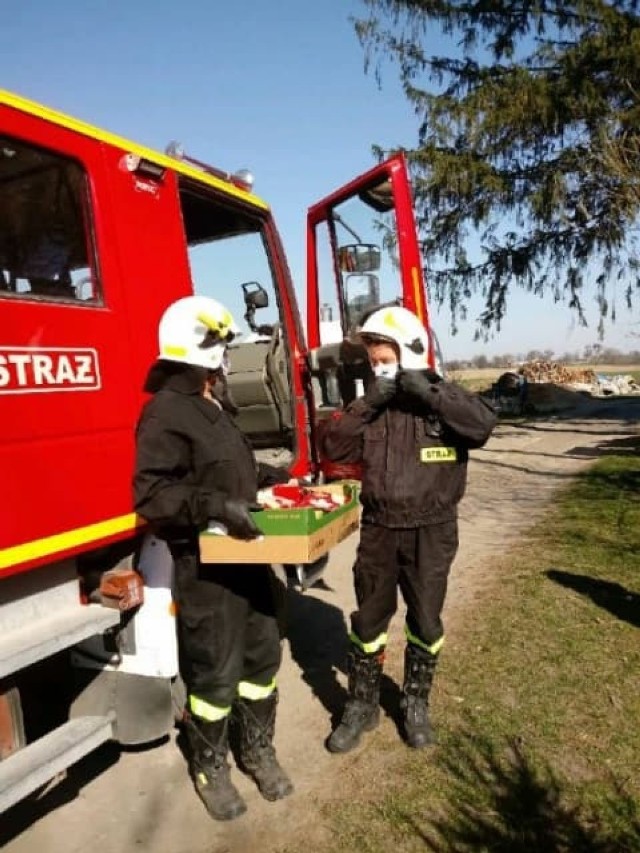 Strażacy pomagają m. in. przy dostawach żywności i dostarczaniu próbek do laboratoriów