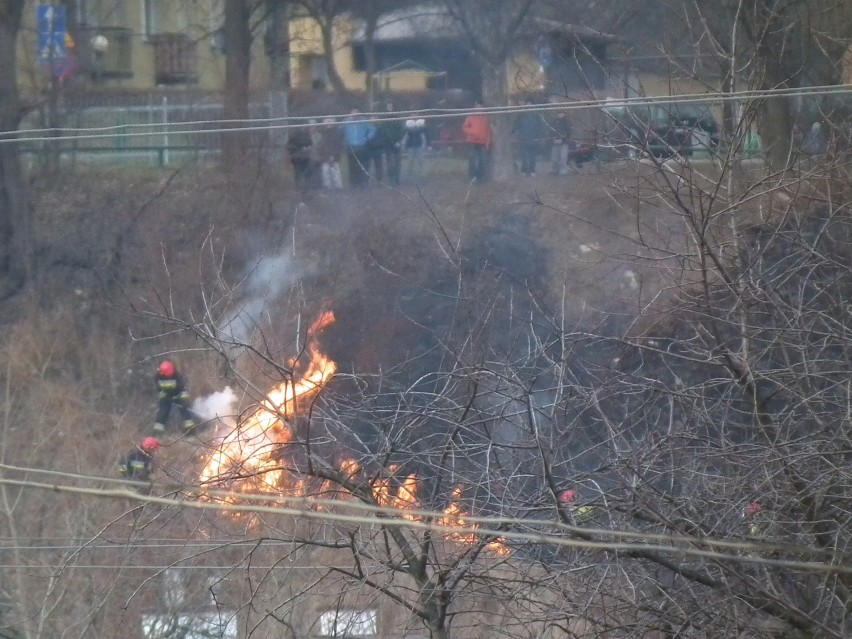 Gorlicka straż pożarna apeluje: nie wypalajcie traw